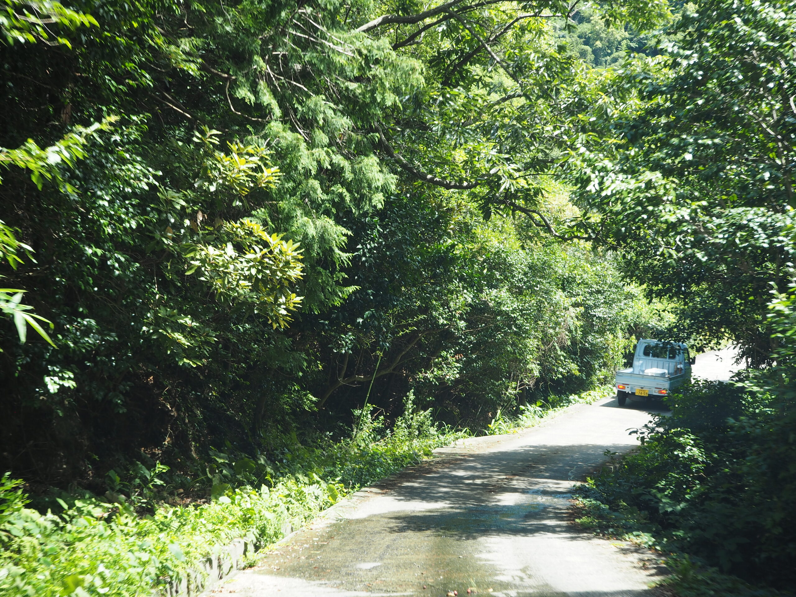 半泊の山道