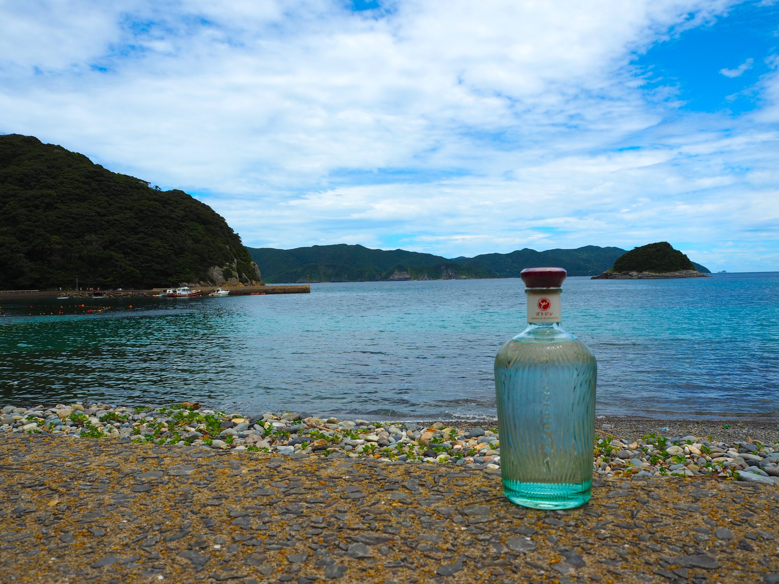 半泊 ゴトジン