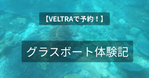 VELTRAで予約 グラスボートシーガル