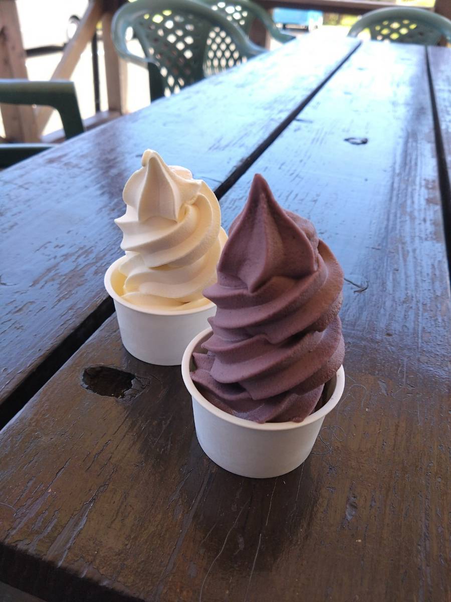 香珠子海水浴場、物産館のソフトクリーム